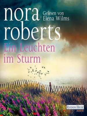 cover image of Ein Leuchten im Sturm